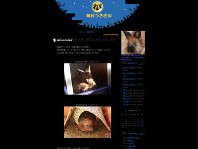 うさぎ　HP　ブログ