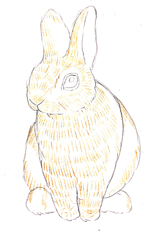 うさぎのイラストを手書きで描こう ゆる画verリアルver丸さえ書ければ完成 Bunnylover バニラバ