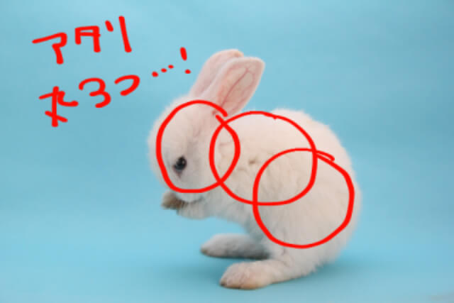 うさぎのイラストを手書きで描こう ゆる画verリアルver丸さえ書ければ完成 Bunnylover バニラバ